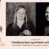 1920x1080_vindlareykur