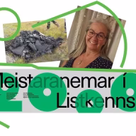 200912_leirsmidja_gerdarsafn_krusidullany