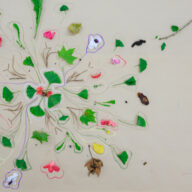 2025.05.22_NATURE_THROUGH_ART_302