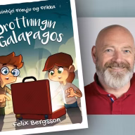 FelixBergsson