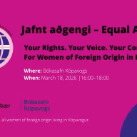 Jafnt aðgengi–Equal Access