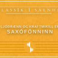Klassík í Salnum - Saxófónninn 800x600
