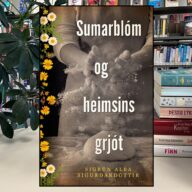 Lesið milli línanna sumarblóm 2025