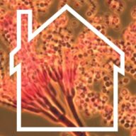 Martrod-med-myglusvepp-718x1024