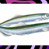 Safnanótt 2026 viðburðarmyndir 1920x100514