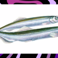 Safnanótt 2026 viðburðarmyndir 1920x100514