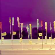 Untitled design (12)