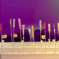 Untitled design (12)