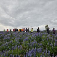 Vatnsendahlíð ganga Kópavogsbær