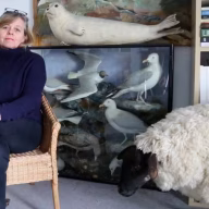 bs-studio-zoo