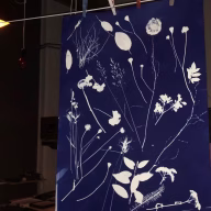 cyanotype-smidja