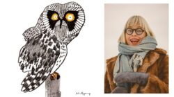 fuglateiknismiðja rán flygenring