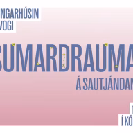 sumardraumar-facebookheimasida-blatt-72-dpi