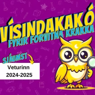 visindakako-mynd-med-grein-2